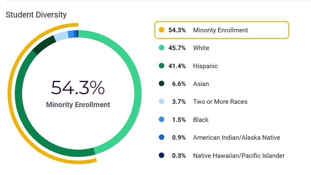 Pie chart of student demographics at BCHS